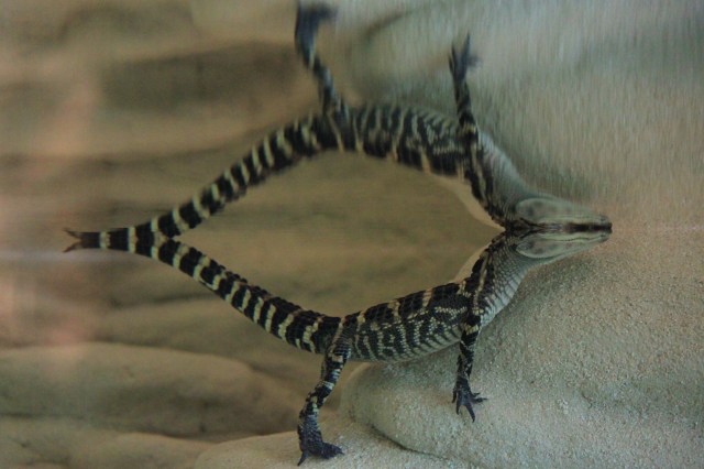 Reflection Perfection